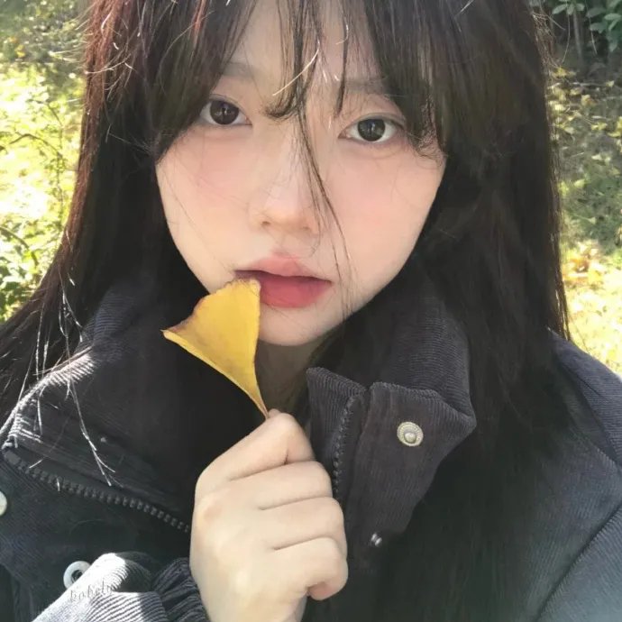 苏菲的供词